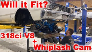 Fitting the 318 V8 in to the Valiant VE VIP with Whiplash Cam