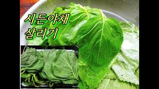 시든야채 살리기