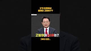 하늘에서 고양이가 떨어지면...? #shorts