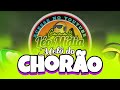 VAZOU LIMPO MELÔ DO CHORÃO VERSÃO  2024 (CANAL LÉO MIDIA OFICIAL)