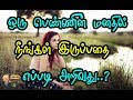 ஒரு பெண்ணின் மனதில் நீங்கள் இருப்பதை எப்படி அறிவது..?(crush secretes in tamil) - Tamil Info 2.0