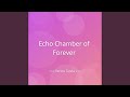 Echo Chamber of Forever