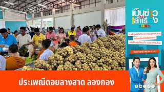 ประเพณีดอยลางสาด ลองกอง สืบสานกว่า 100 ปี | เป็นข่าวเล่าเรื่อง