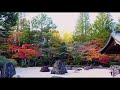 治愈系风景，京都银阁寺，有山有水，秋天层林尽染，春天樱花映面，有世外桃源之意。