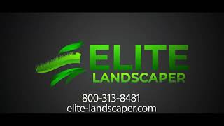 Transforming Outdoor Spaces with Expert Design and Care