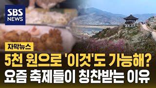 5천 원으로 '이것'도 가능해?...요즘 축제들이 칭찬받는 이유 (자막뉴스) / SBS