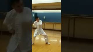 Changeable Quan combat moves混綿拳散擊#shorts #武術 #wushu #karate #karatedo