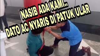 Ular tewas di tangaan din dan pokjak