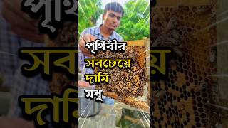 পৃথিবীর সবচেয়ে দামী মধু কি🤑 ? #agriculture #honeybee #agribusiness #bengali