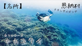 【名所】沖縄シュノーケリング人気観光スポット「なかゆくい」フルコース案内してもらった in ナカユクイ　ログ＃３５