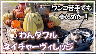 他のワンコ苦手な愛犬とわんダフルネイチャーヴィレッジに行ってみた【vlog】