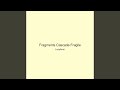 Fragments Cascade Fragile
