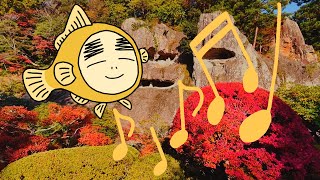 石川県 加賀観光 紅葉 那谷寺散策：Walking Around Natadera Temple (Komatsu, Ishikawa, Japan)