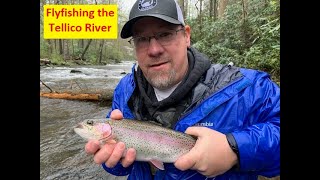 Fly Fishing the Tellico River