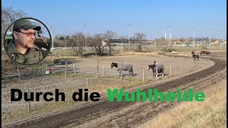 Wanderung - Durch die Wuhlheide