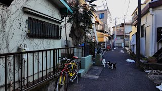 南池袋 路地裏散歩【4K】 - South IKEBUKURO back alley