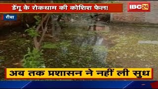 Rewa में फैला Dengue का प्रकोप | अब तक प्रशासन ने नहीं ली सुध