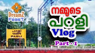 എന്റെ നാട്/parali vlog/നിളയുടെ ഉത്ഭവം/God's own country/ Family vlog/Parli Higher Secondary School