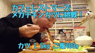 カフェレストマーズのメガチキンカツに挑戦！完食ならずのボツ動画