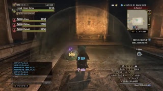 【DDON】無言。ハイデル霊廟高速周回