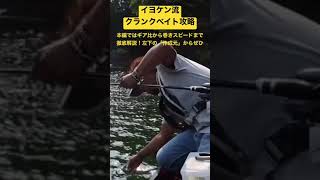 伊豫部健流クランクベイトの使い方