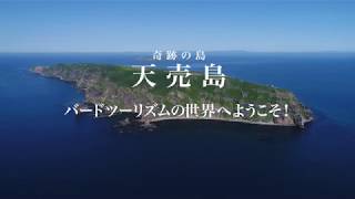 ネイチャーバードツーリズム　いのち輝く海鳥の楽園 天売島