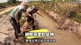 小伙在水沟里发现了一条大鱼，叫来同伴一起抓鱼