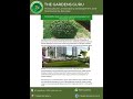 The Gardens Guru Horticulture Landscaping #viralvideo #shortvideo #song #gardening #terracegarden