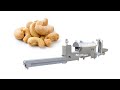 SS316 Electric Cashew Nut Roasting Machine Continuous Production