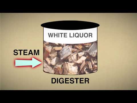 How many types of pulping process are there?