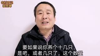 农村日记，鸽子病了到底能不能用人药，用人药治鸽子病靠谱吗