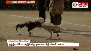 ஆந்திராவில் உயர்நீதிமன்ற தடையை மீறி சேவல் சண்டை