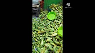 near patia low price market#damana hata sastapariba market#low price vegetable market patia damana