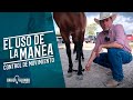 Uso de la Manea | Control de Movimiento