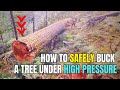 Old Growth Cutting, Tips & Tricks | Remember to Check Out WoodBoss.ca for the Power Wedges 🤙