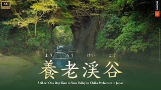 養老渓谷｜日帰り旅行 Short Movie in Yoro Valley