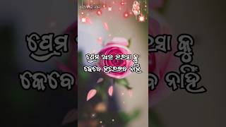 ପ୍ରେମ ଆଉ ଭରସା  || odia poetry // odia love poetry // odia shayari video // amari mana