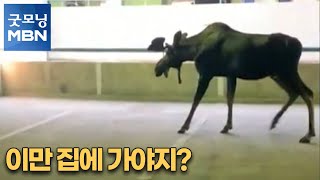 [굿모닝월드] 이만 집에 가야지? [굿모닝MBN]