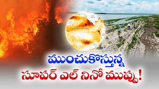 Super El Niño Warning Issued | UN Issues Global Climate Alert