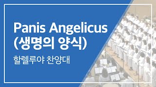 범어교회 230625 Panis Angelicus(생명의 양식) (할렐루야 찬양대)