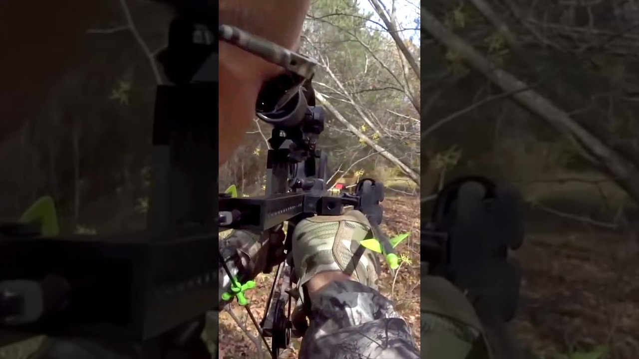 昌mini Survival Crossbow Shooting Ability Shorts Archery Shortsvideo