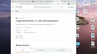 Use Tensorflowjs to build up a react application