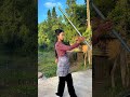 Kungfu china master 93/Hướng dẫn múa gậy #霞光腊月#kungfu #wing chun