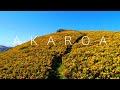 akaroa new zealand drone 4k