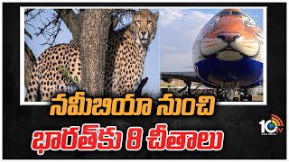 నమీబియా నుంచి భారత్‌కు 8 చీతాలు | 8 Cheetahs Coming to India from Namibia | 10TV