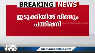 ഇടുക്കിയിൽ വീണ്ടും ആഫ്രിക്കൻ പന്നിപ്പനി: ഫാമുകളിലെ പന്നികളെ ദയാവധത്തിന് വിധേയമാക്കും