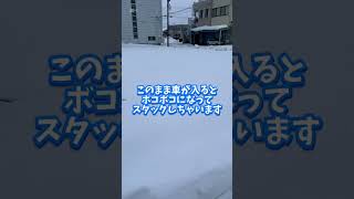 【最強寒波】今週から雪が和らいでくるとのこと #北陸 #大雪 #福井県