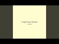 Fragile Pulse Shadow
