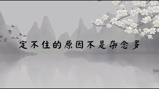 【子归家/易度门】聊天室 |  定不住的原因不是杂念多 | 杨宁