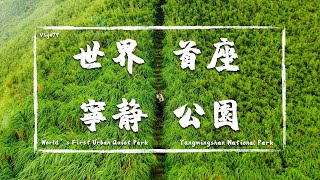 《翻岳》一個人漫步在世界首座寧靜公園！陽明山西段大縱走-向天山、面天山、大屯山西峰、大屯山南峰、大屯山主峰 Vlog#79 #翻岳